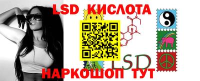 дживик Берёзовский