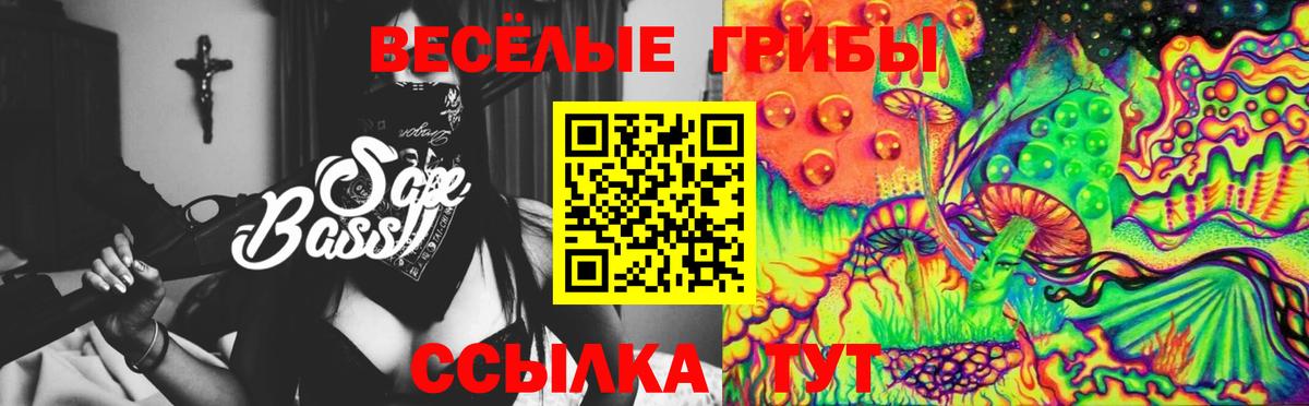 Псилоцибиновые грибы мицелий Кировск