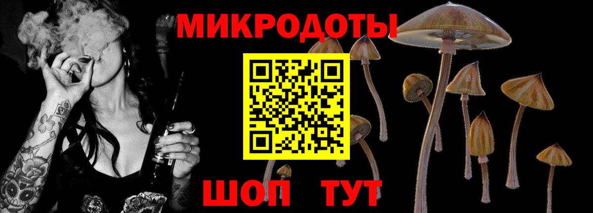 Галлюциногенные грибы Psilocybe  Псилоцибиновые грибы мухоморы  наркота  Вход с VPN  Кировск 